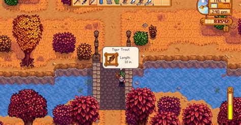pargo colorado stardew valley|trucha tigre stardew valley.